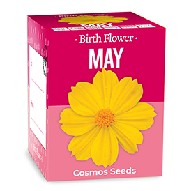 Birth Flowers - May
