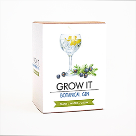 Grow Tin - Blissful Craft Beer