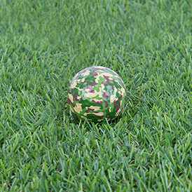 Camo Golf Balls