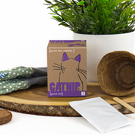 Grow Me - Catnip