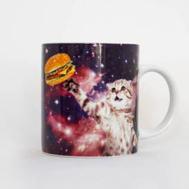 cat in space