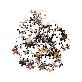 Crazy Cats Pocket Puzzle