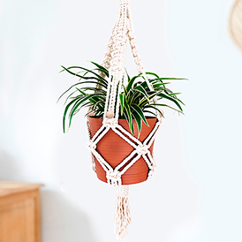 DIY Macramé Kit