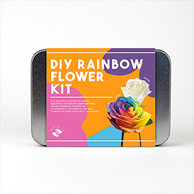 DIY Rainbow Flowers Kit