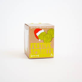 Grow Me Festive Sprouts