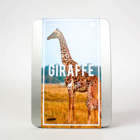 Adopt a Giraffe