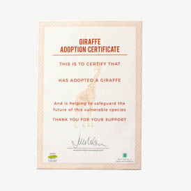 Adopt a Giraffe