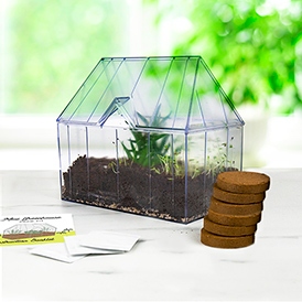 Mini Greenhouse Kit
