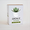 Grow it succulent