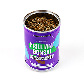 Grow Tin - Brilliant Bonsai