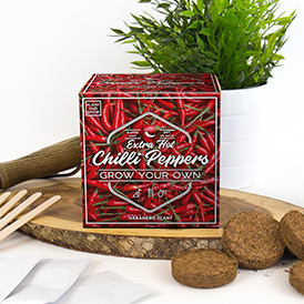 Grow Your Own Hot Cilli Pepper
