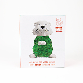 Hairy Beaver Planter