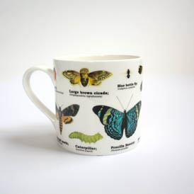 insects bone china mug