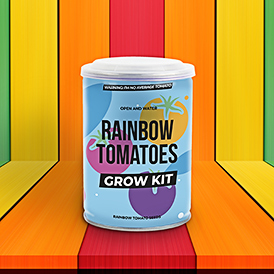Rainbow Tomato Grow Tin