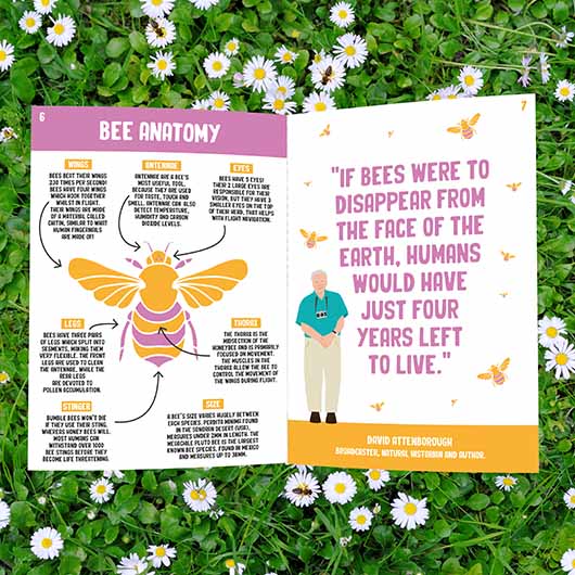 Save the Bees - Grow Book Rollover 2