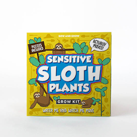 Sow and Grow Sensitive Sloth