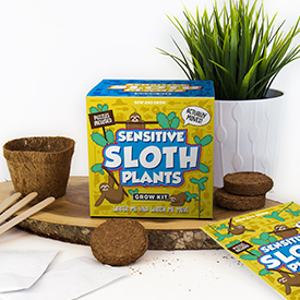 Sow and Grow Sensitive Sloth