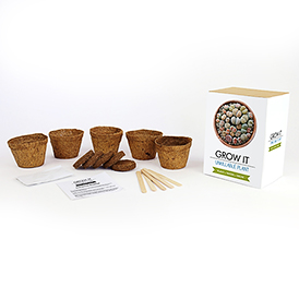 Snore Curing Plant
