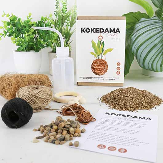 The art of Kokedama - DIY Kit Rollover 2