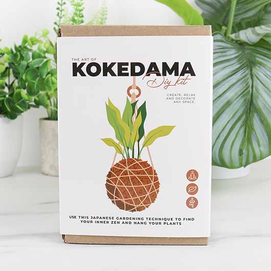 The art of Kokedama - DIY Kit Rollover 3