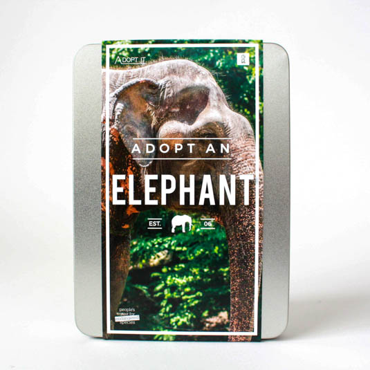 Adopt an Elephant