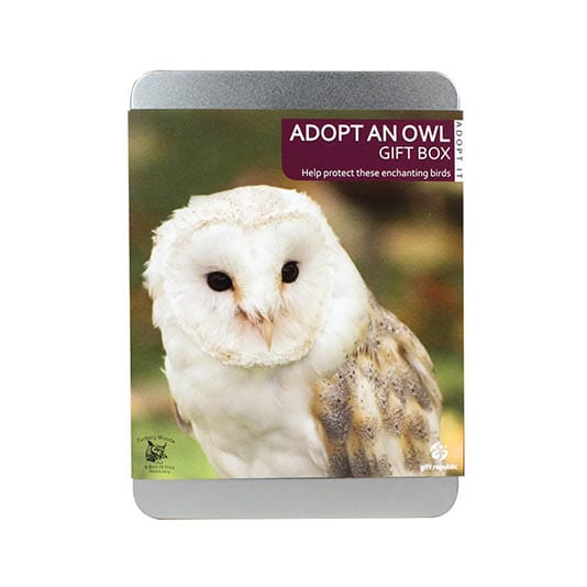 Adopt an Owl from Gift Republic