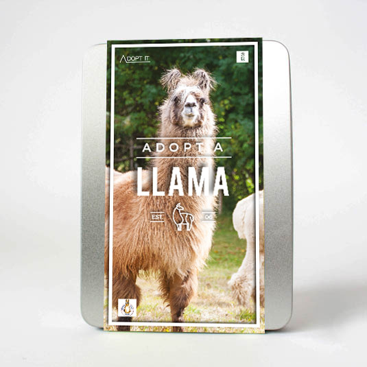 Adopt a Llama
