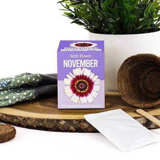 Birth Flowers - November