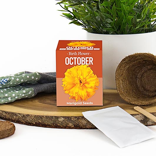 Birth Flowers - October