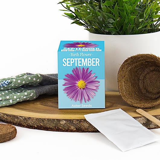 Birth Flowers - September