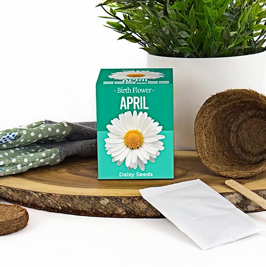 Birth Flowers - April