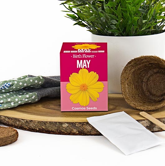 Birth Flowers - May