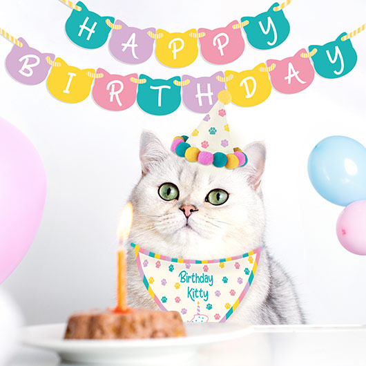 Birthday Kitty - Cat Birthday Kit - from Gift Republic