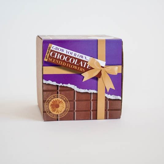 Grow your own chocolate scented flowers