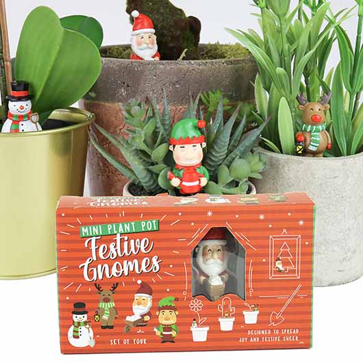 Festive Plant Markers