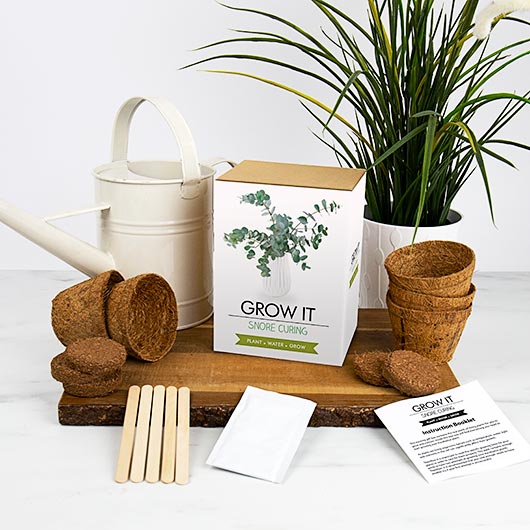 Snore Curing Plant