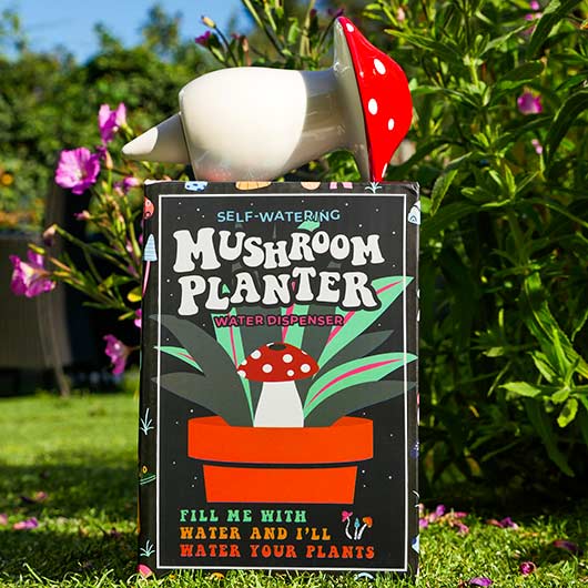 Mushroom Themed Gifts