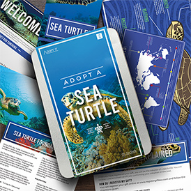 Adopt a Sea Turtle