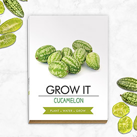 Grow It - Cucamelon
