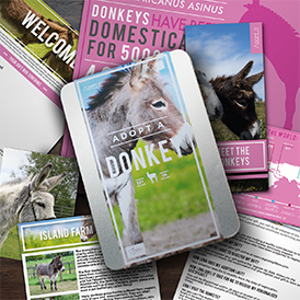 Adopt a Donkey