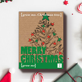 Christmas in a box!