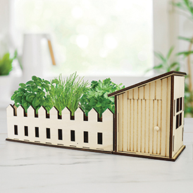 Mini Indoor Allotment