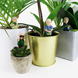 Attenborough Plant Markers