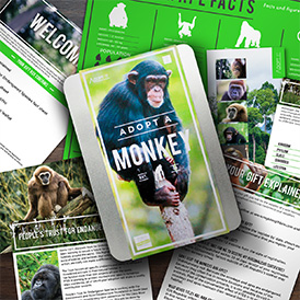 Adopt a Monkey