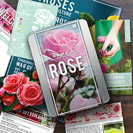 Name a Rose