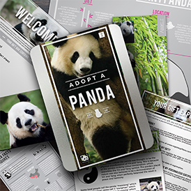 Help protect the Panda