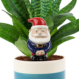 Peeing Gnome Planter