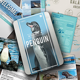 Help to save penguins