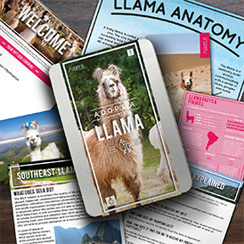 Adopt a Llama