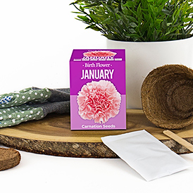 Birth Flowers - January